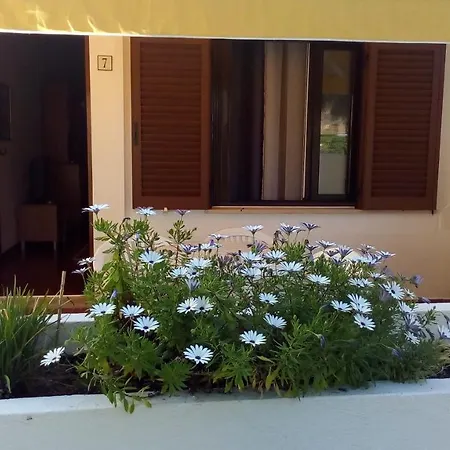 Apartamento Casal Alfarrobeiras, 7 *