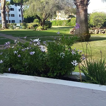 Casal Alfarrobeiras, 7 Apartmán